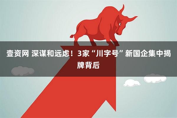 壹资网 深谋和远虑！3家“川字号”新国企集中揭牌背后
