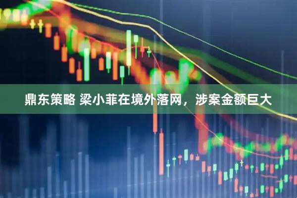 鼎东策略 梁小菲在境外落网，涉案金额巨大